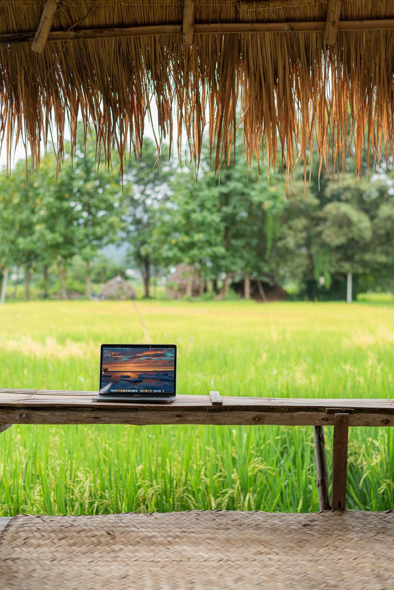Paddy Fields Haven - Natures Nest Pai Exterior foto