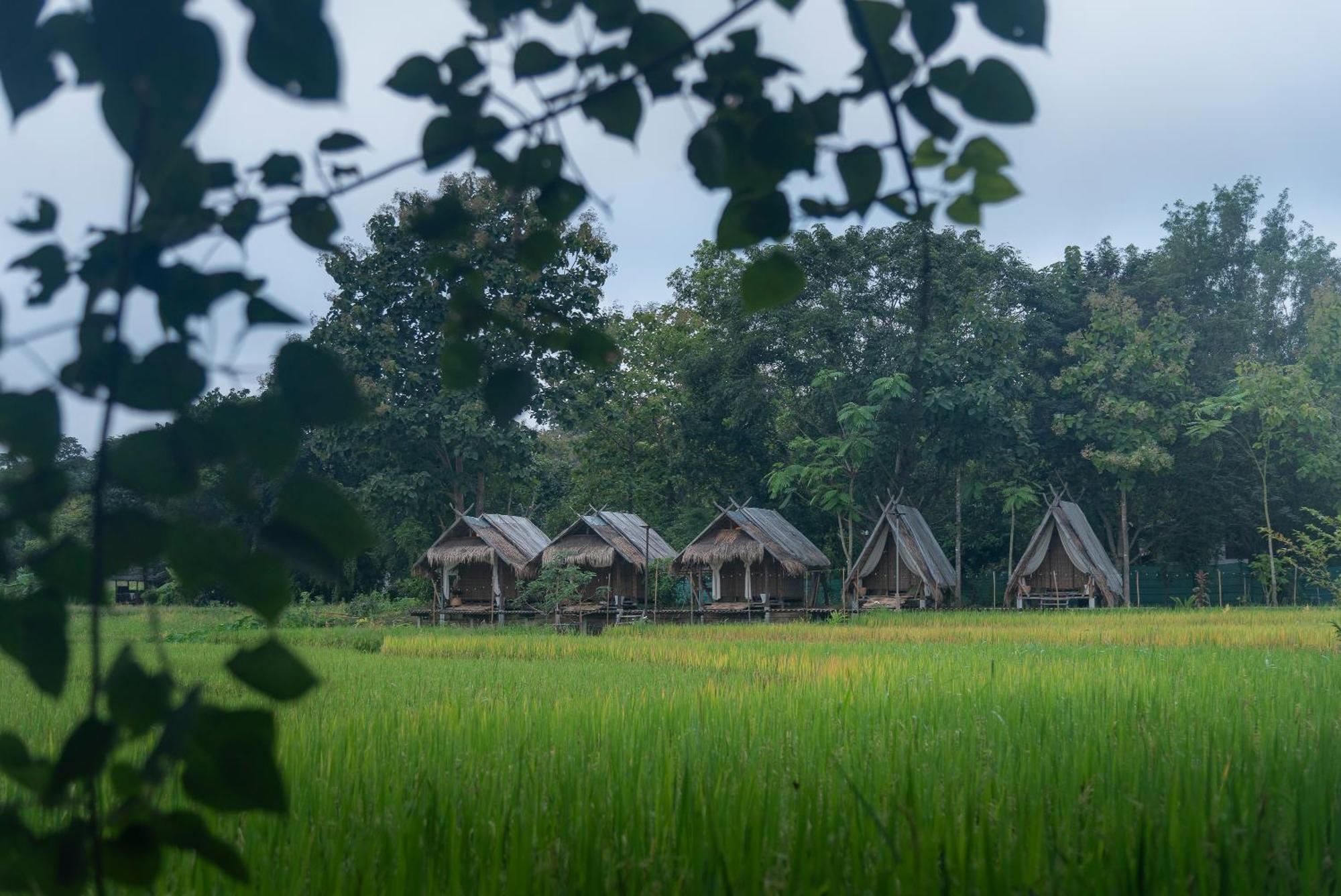 Paddy Fields Haven - Natures Nest Pai Exterior foto