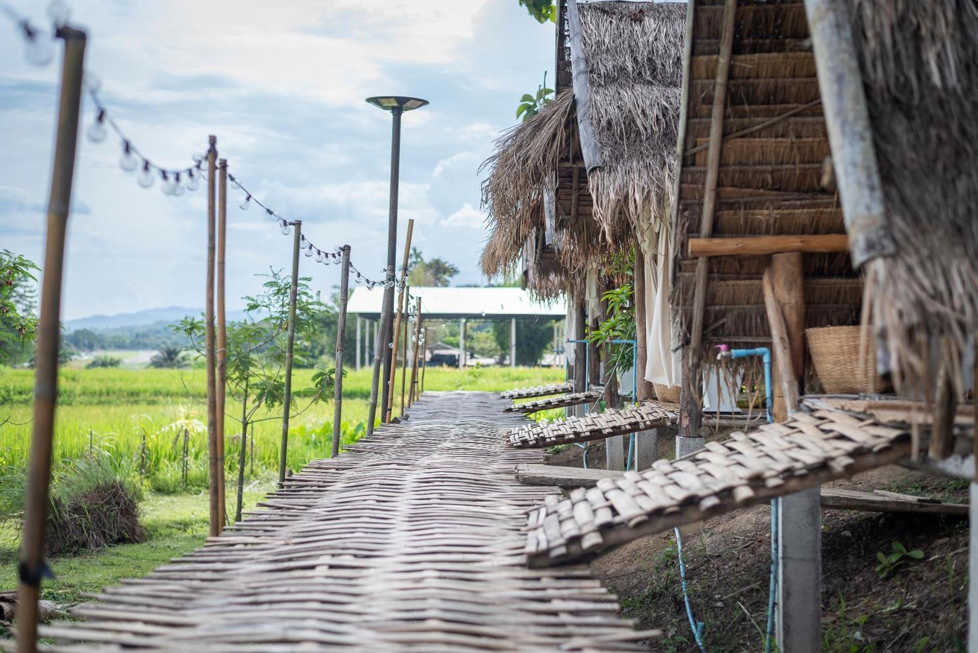 Paddy Fields Haven - Natures Nest Pai Exterior foto