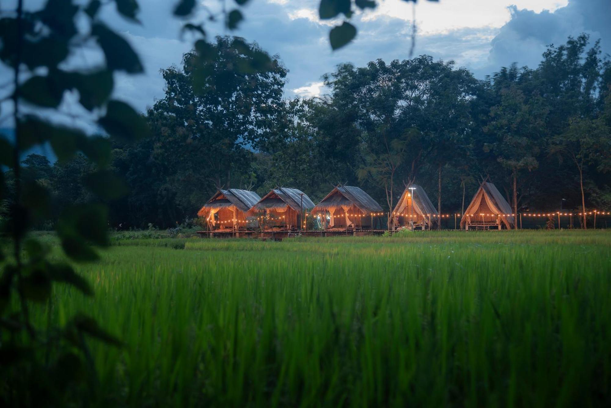 Paddy Fields Haven - Natures Nest Pai Exterior foto