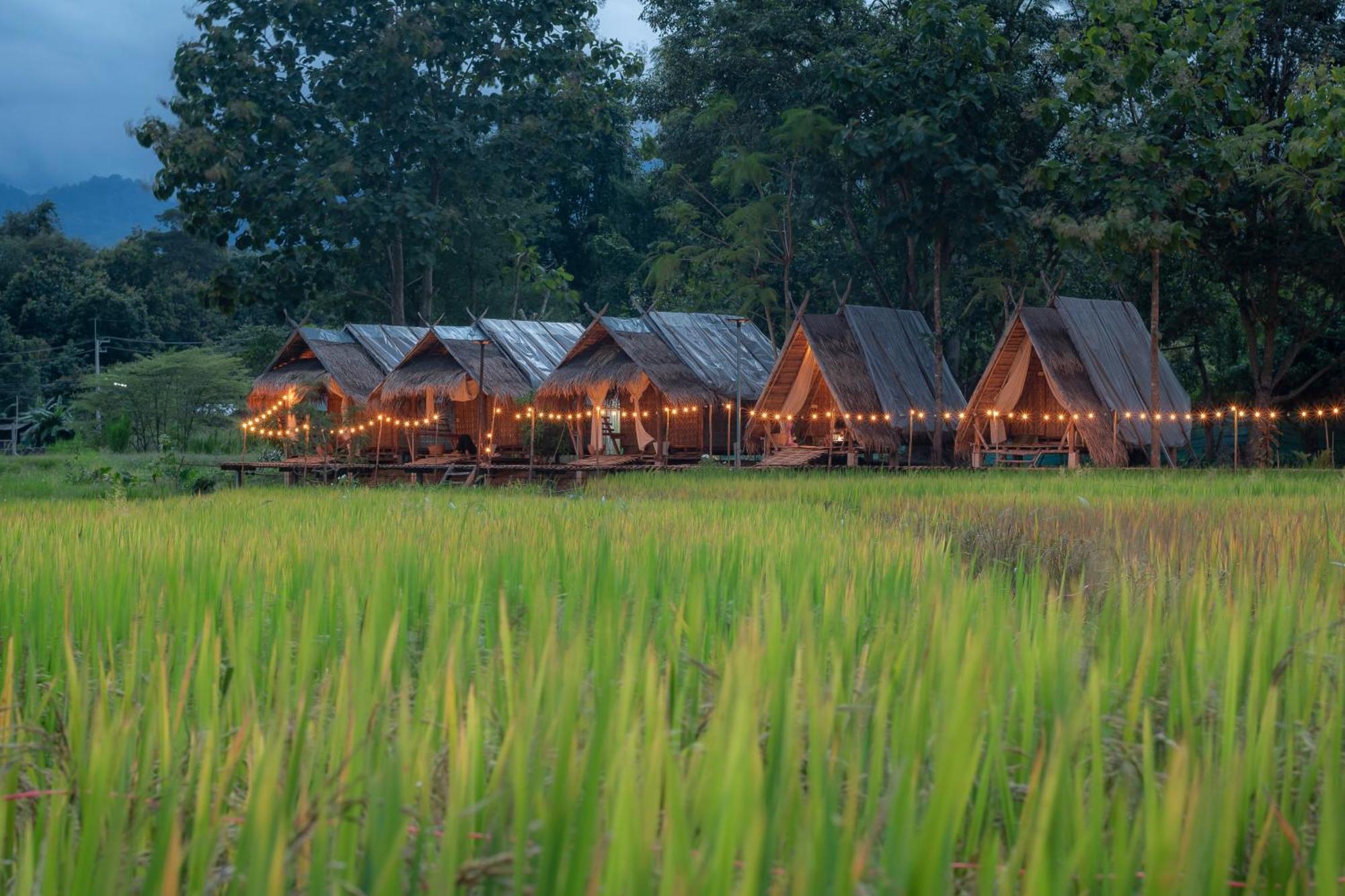 Paddy Fields Haven - Natures Nest Pai Exterior foto
