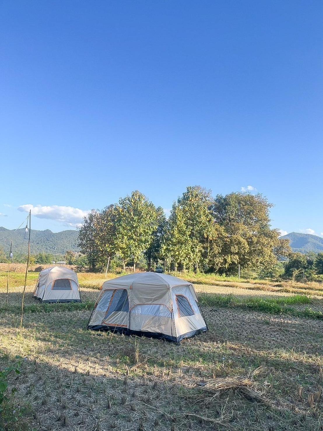 Paddy Fields Haven - Natures Nest Pai Exterior foto